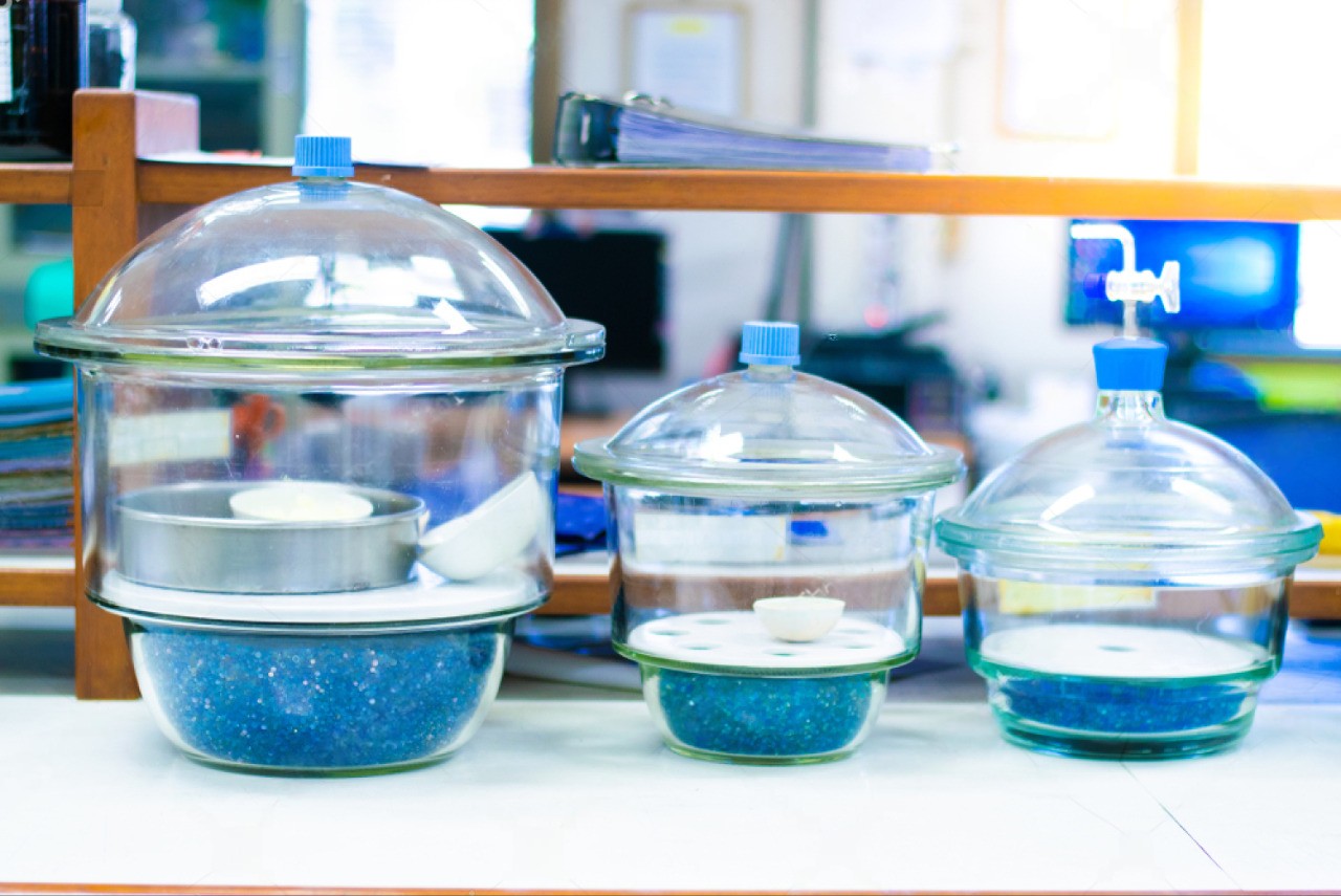 Premium vacuum desiccator with clear lid and perforated plate at Dawn Scientific