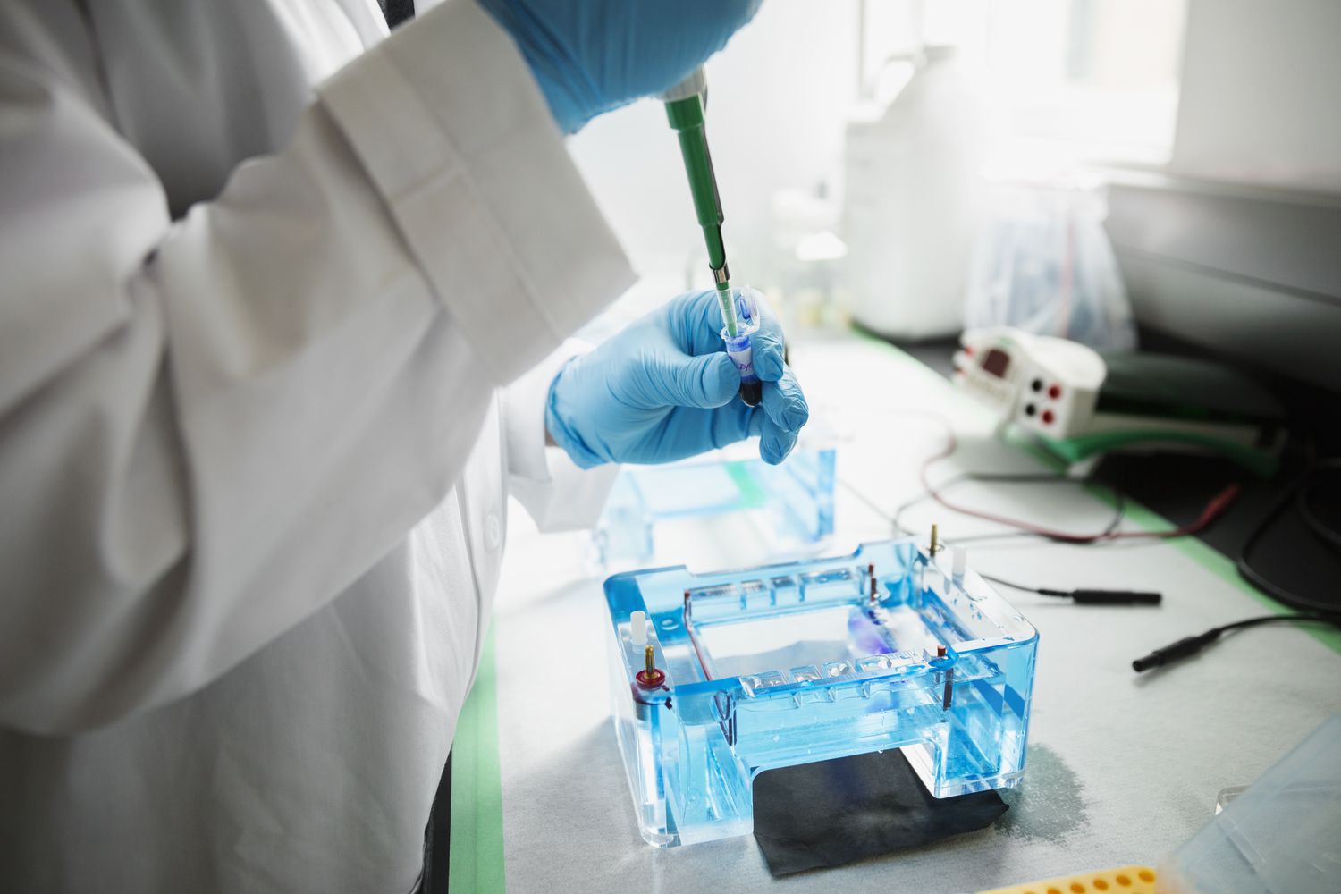 Electrophoresis system for DNA and protein analysis in laboratory Dawn Scientific