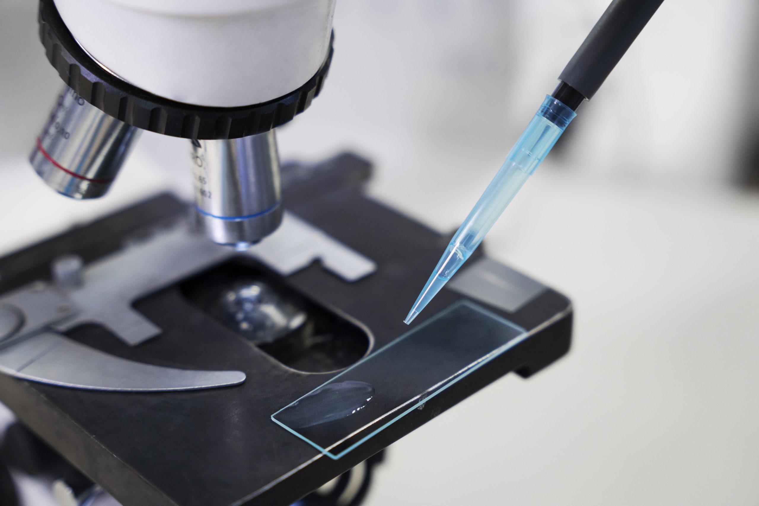 Top-Quality Microscopic Slides for Laboratory Applications laboratory microscopic slides - Beveled Edge Slides, Chamber Slides, Diamond Slides & More for Observation & Analyzing at Dawn Scientific