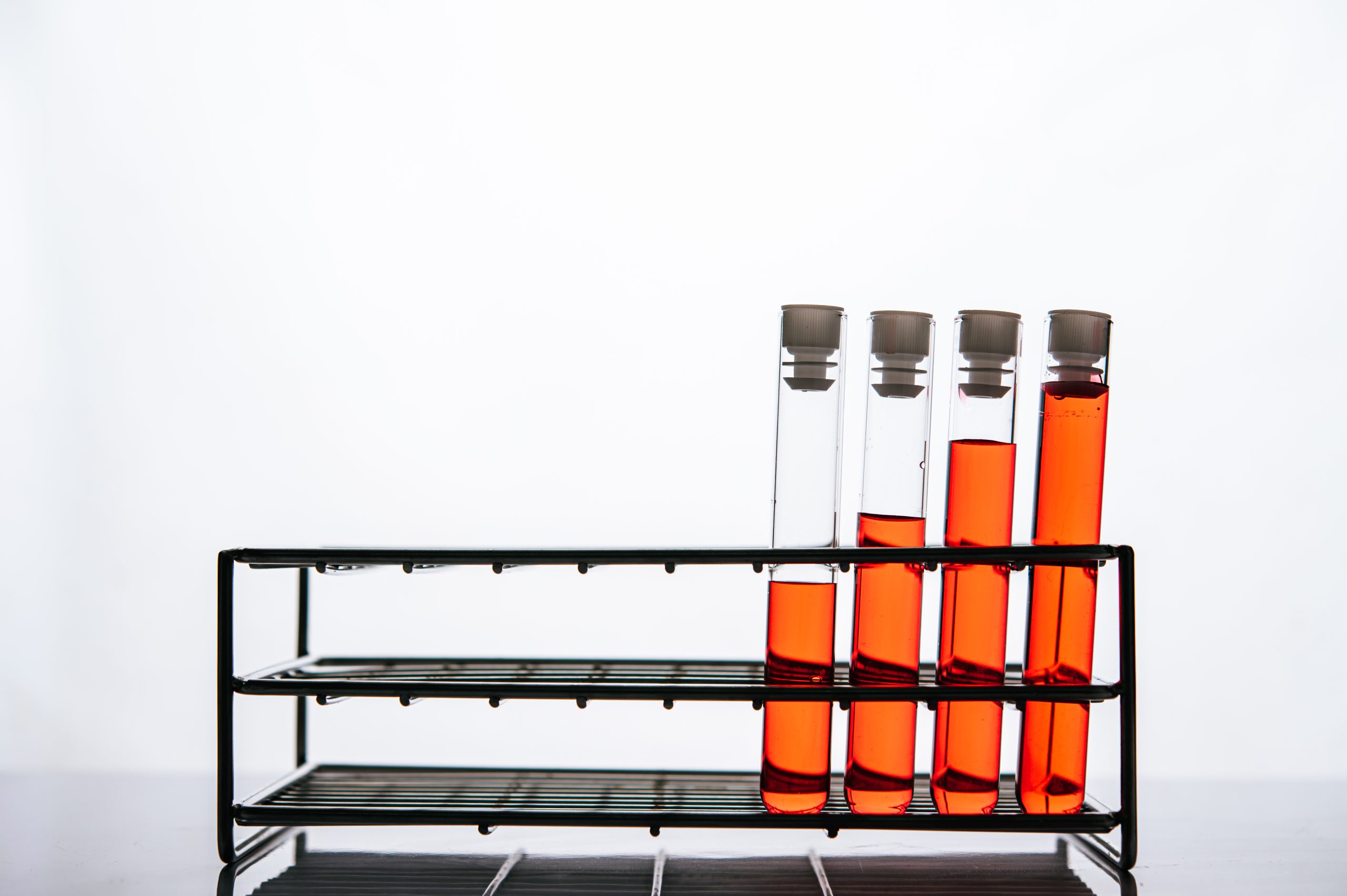 High-Quality Lab Racks for Safe and Organized Storage Lab racks for organizing and storing laboratory samples and equipment at Dawn Scientific