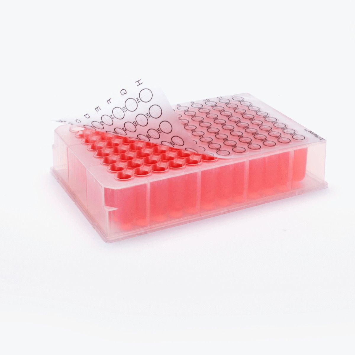 X-Pierce, Sterile