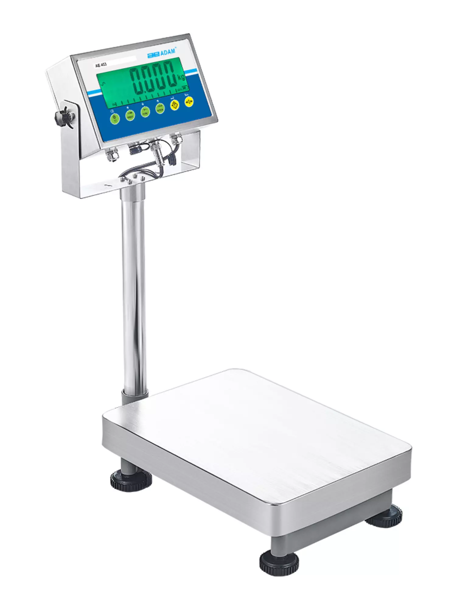 AGB and AGF Bench and Floor Scales - AGB 65A
