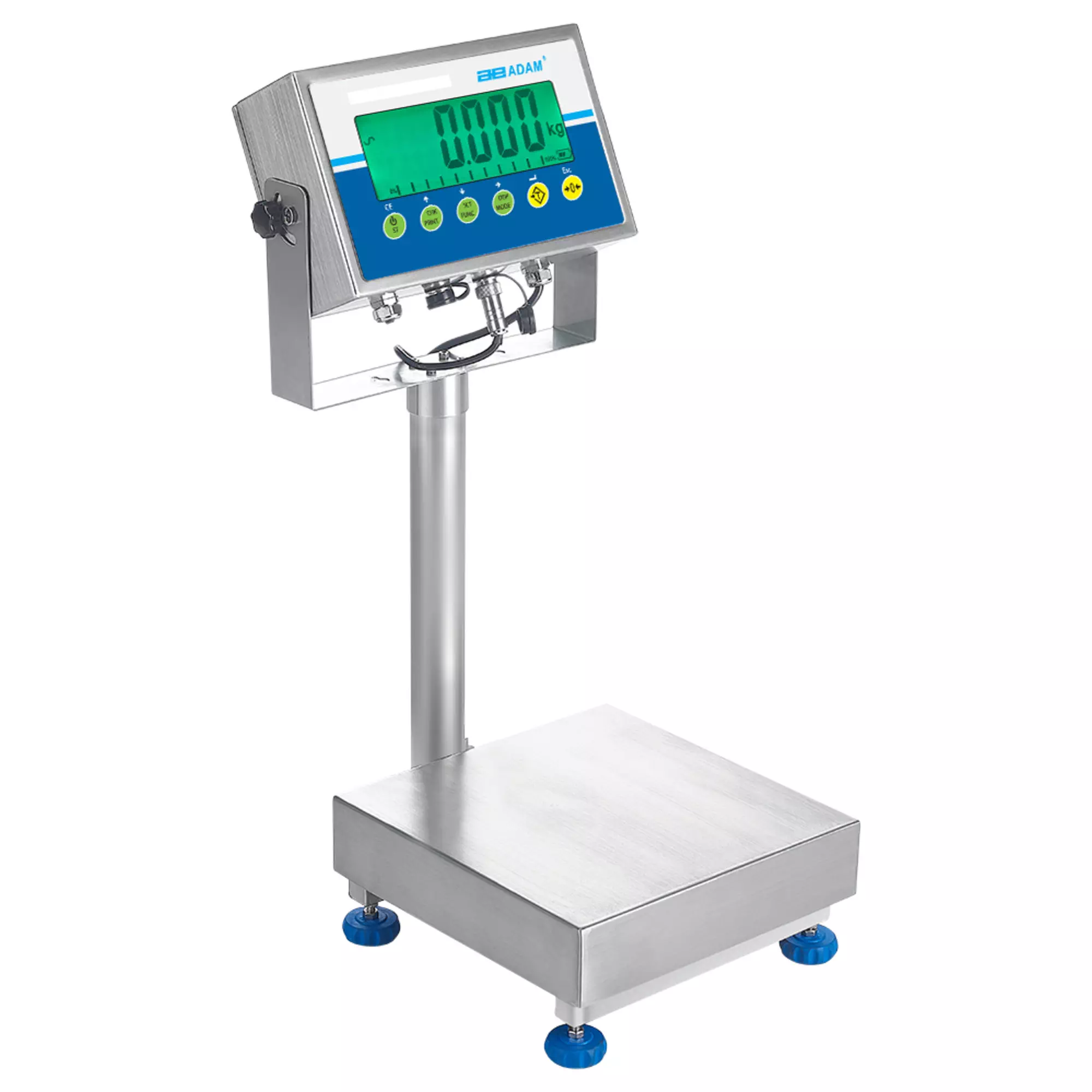 Gladiator Washdown Scales - GGS 65A