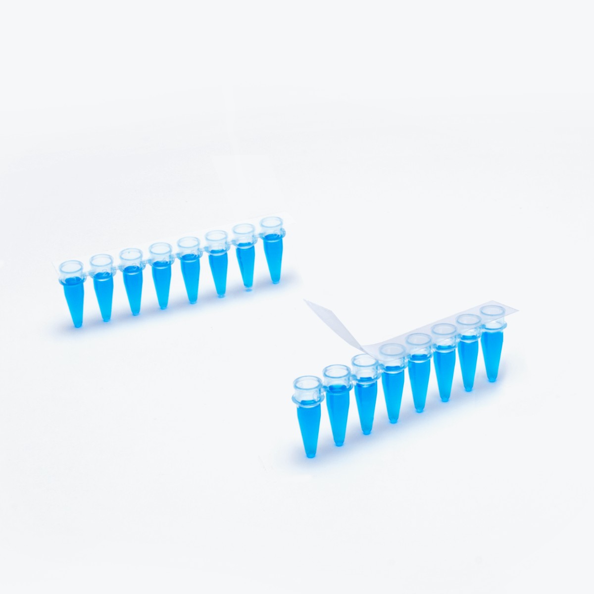 EZcap PCR FilmStrips, 8 Strips per Sheet, 1X8 Rows per Strip