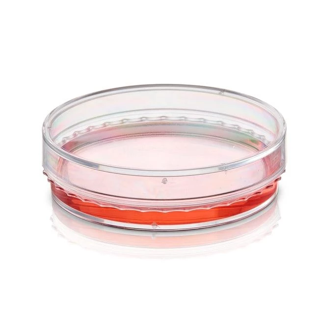 BioLite 35mm TC Dish