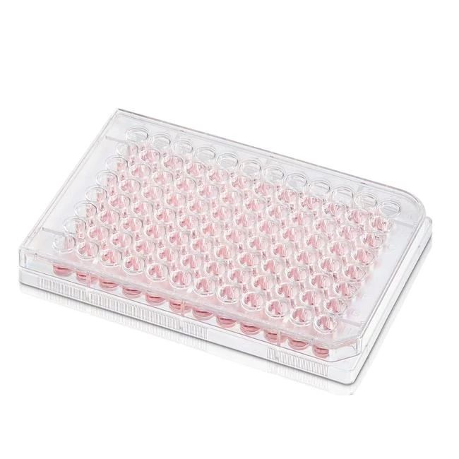 BioLite 6 Well Multidish