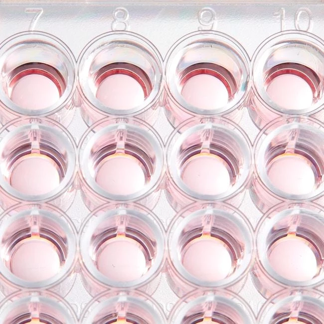 BioLite 48 Well Multidish
