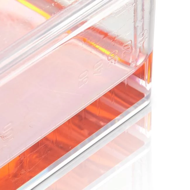 BioLite 175cm2 Flask, Vented Cap