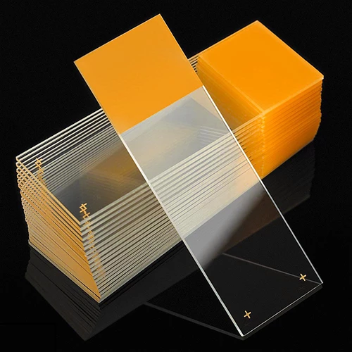 Microscope Slides, Diamond White Glass, 25 x 75mm, Charged, 90 Ground Edges, Gold Frosted, 72/Box