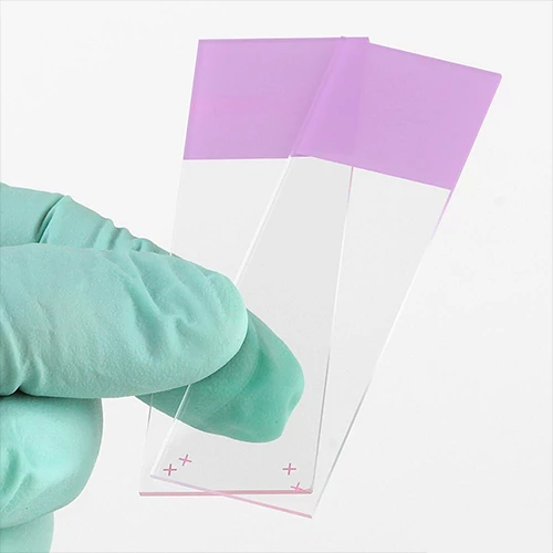 Microscope Slides, Diamond White Glass, 25 x 75mm, Charged, 90 Ground Edges, Lilac Frosted, 72/Box