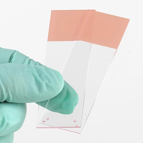 Microscope Slides, Diamond White Glass, 25 x 75mm, Charged, 90 Ground Edges, Orange Frosted, 72/Box, 20 Boxes/Case (10 Gross)