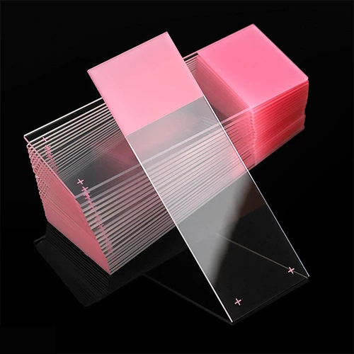 Microscope Slides, Diamond White Glass, 25 x 75mm, Charged, 90 Ground Edges, Pink Frosted, 72/Box, 20 Boxes/Case (10 Gross)