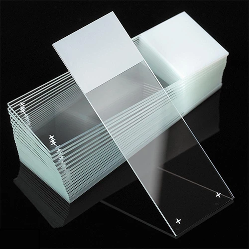 Microscope Slides, Diamond White Glass, 25 x 75mm, Charged, 90 Ground Edges, White Frosted, 72/Box