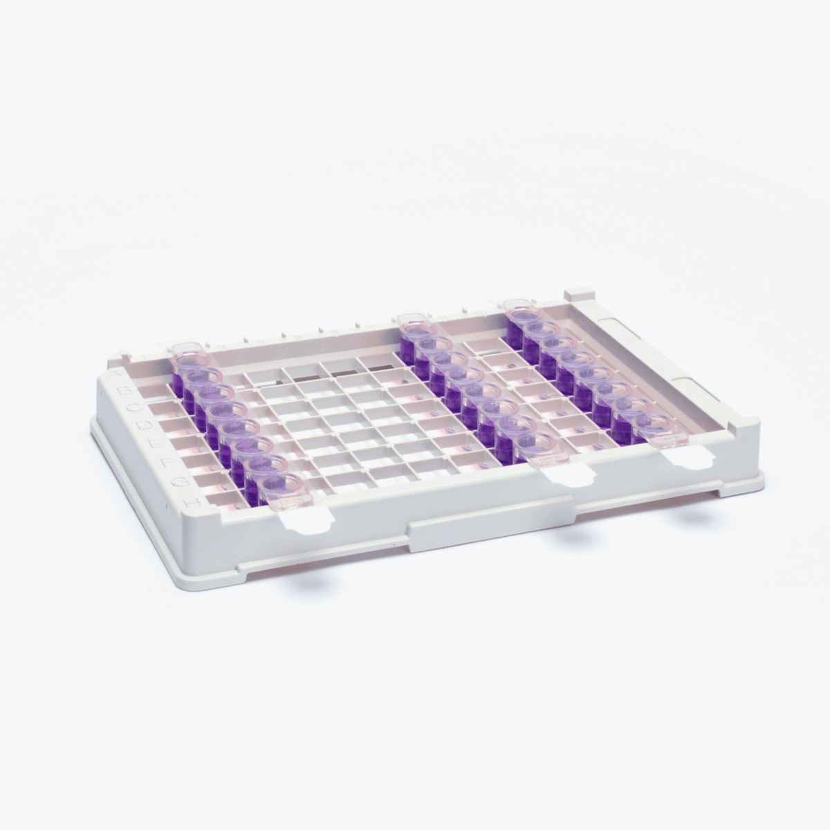 1x8 FilmStrips, 8 Strips per Sheet, Sterile