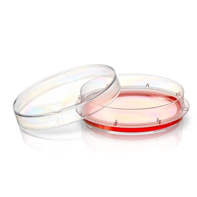 EASYDISH 60MM SUPRA ST VENT