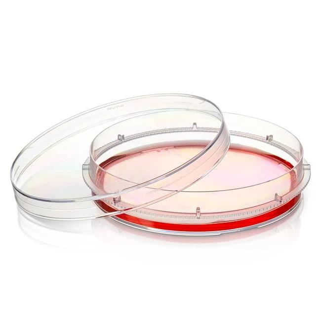 EASYDISH 100X20 SUPRA ST VENT