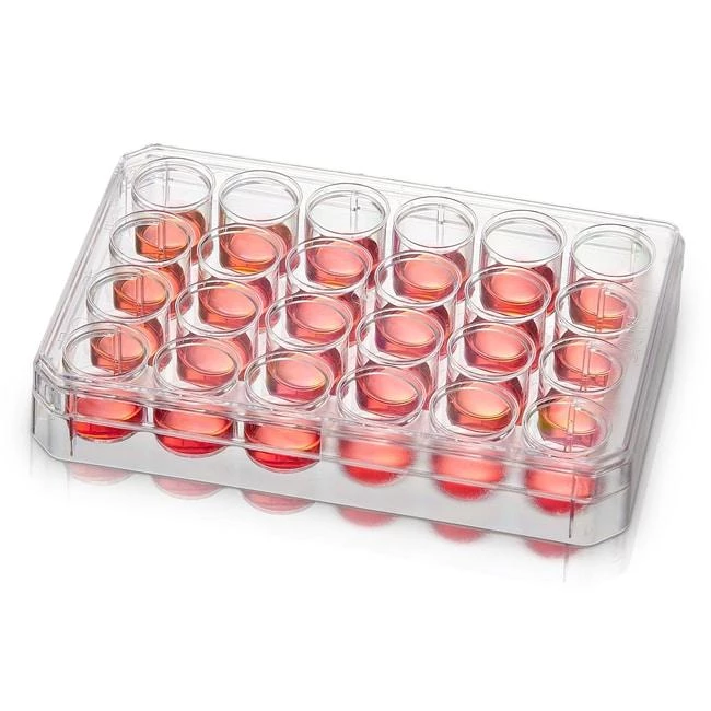 NUNC 24W Multidish w/Lid;PDL; 5/PK,20/CS