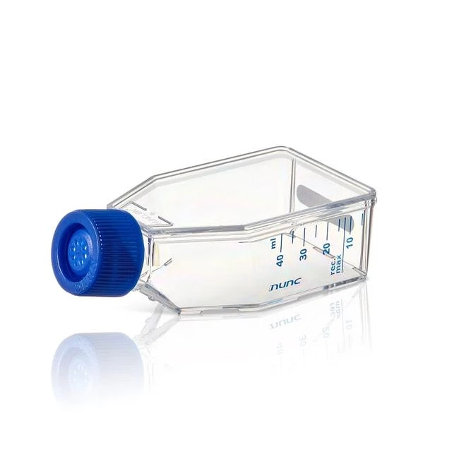 EASYFLASK T25 SUPRA FILTER ST