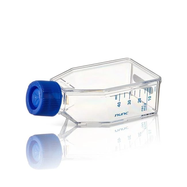 EASYFLASK T25 SUPRA V/C CAP ST