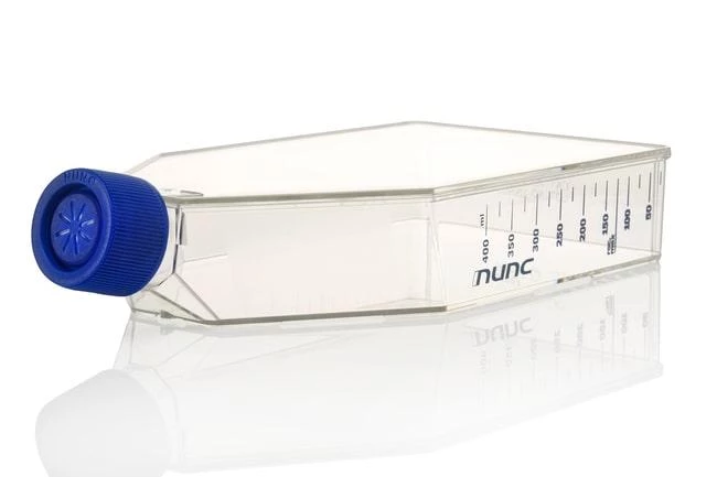 White Filter Cap for 75 EasY Flask