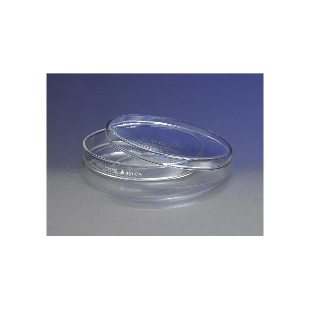 PYREX 100x15mm Petri Dish Cover Only