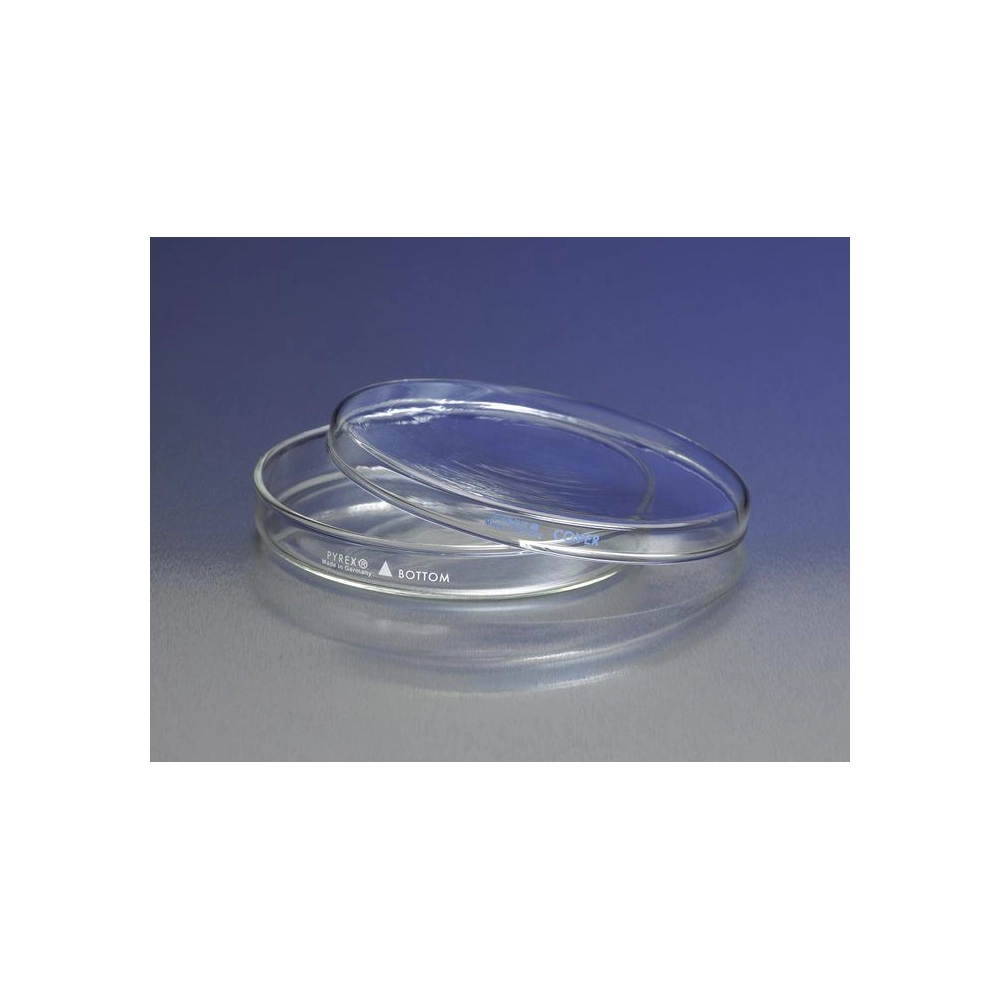 PYREX 150x15mm Petri Dish Bottom Only