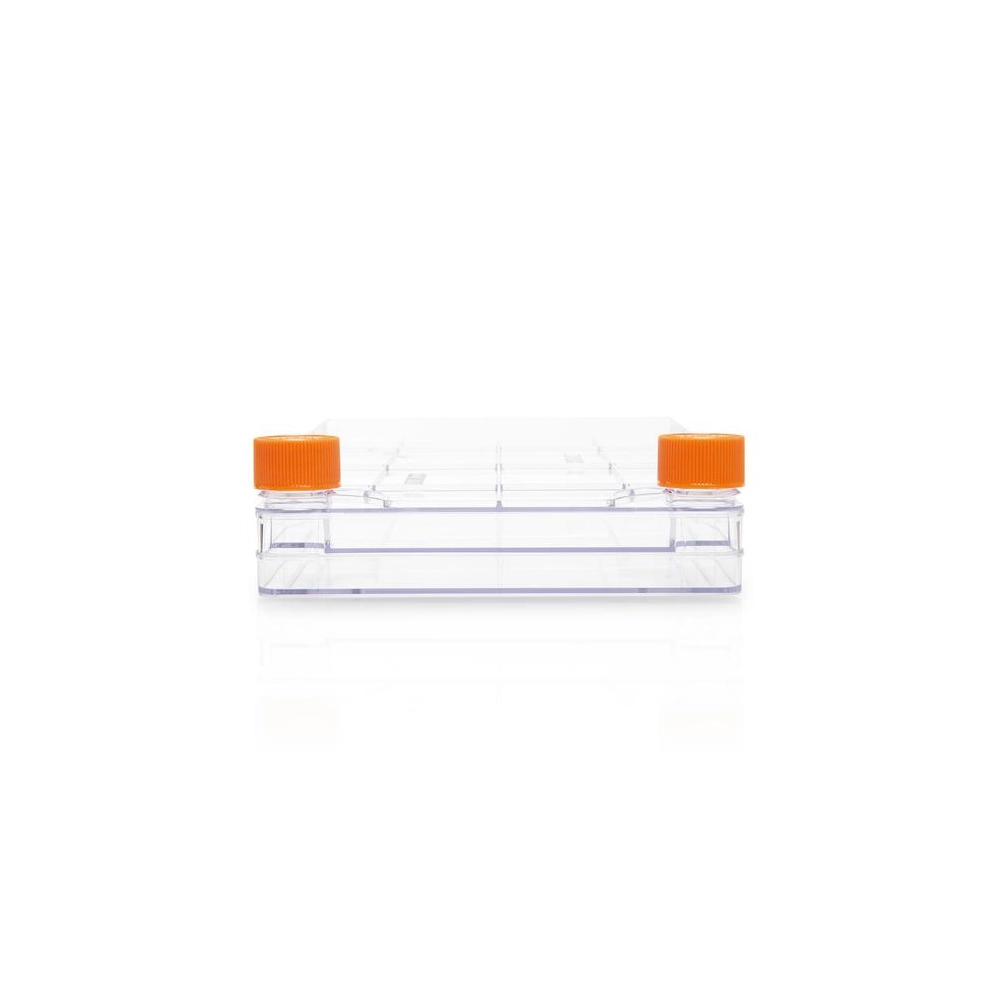 Corning CellSTACK, 2-layer Polystyrene vessel with Vent Caps, TC treated Growth Surface, Sterile, 1 per bag, 5 per case