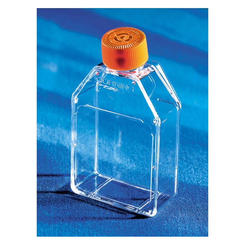 Corning CellBIND 25cm Rectangular Canted Neck Cell Culture Flask with Vent Cap