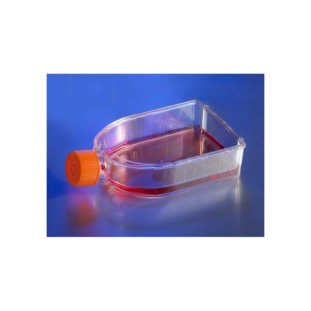 Corning CellBIND 75cm Rectangular Canted Neck Cell Culture Flask with Vent Cap