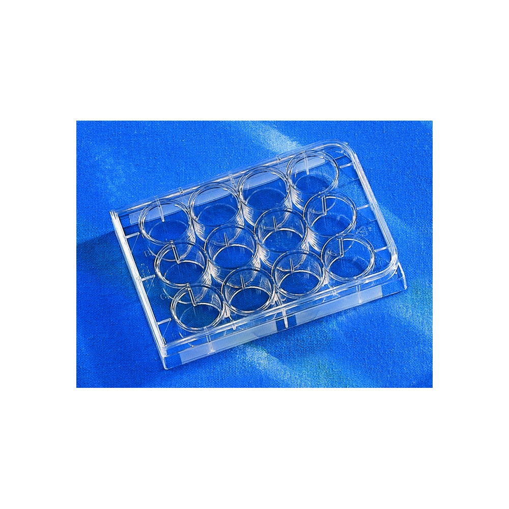 Corning CellBIND 12 Well Clear Multiple Well Plates, Flat Bottom, with Lid, Sterile