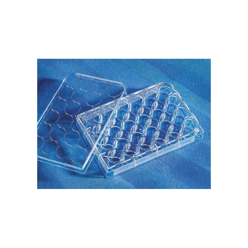Corning CellBIND 24 Well Clear Multiple Well Plates, Flat Bottom, with Lid, Sterile