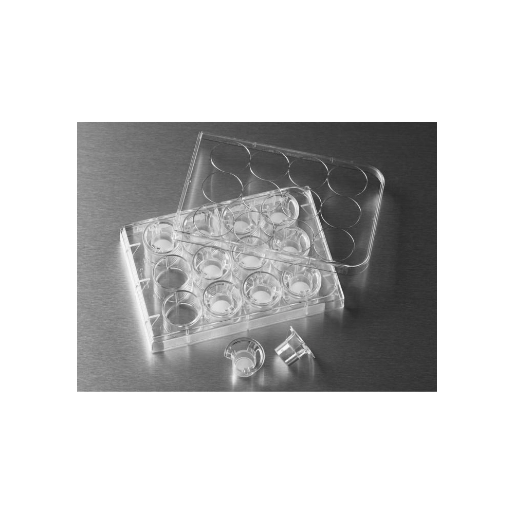 Costar 12mm Transwell Permeable Support with 0.4µm Pore Polycarbonate (PC) Membrane, Sterile, 12/Pack, 48/Case