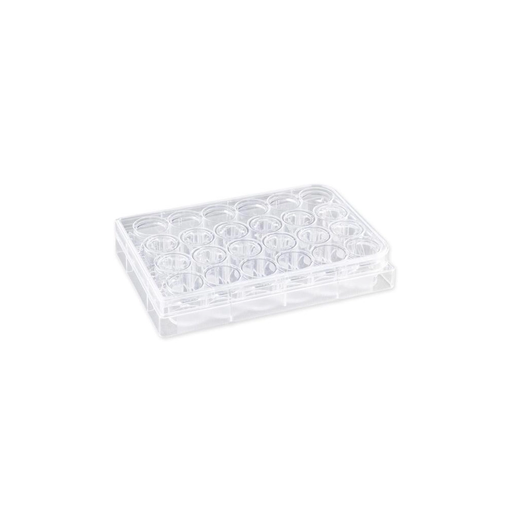 Costar 6.5mm Transwell Insert with 0.4µm Pore Polycarbonate (PC) Membrane, Sterile, 12/Pack, 48/Case
