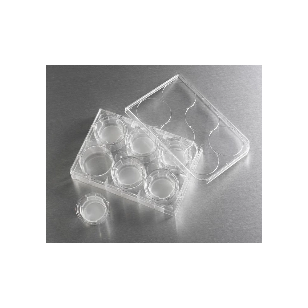 Costar 24mm Transwell Permeable Support with 0.4µm Pore Polyester (PET) Membrane, Sterile, 6/Pack, 24/Case