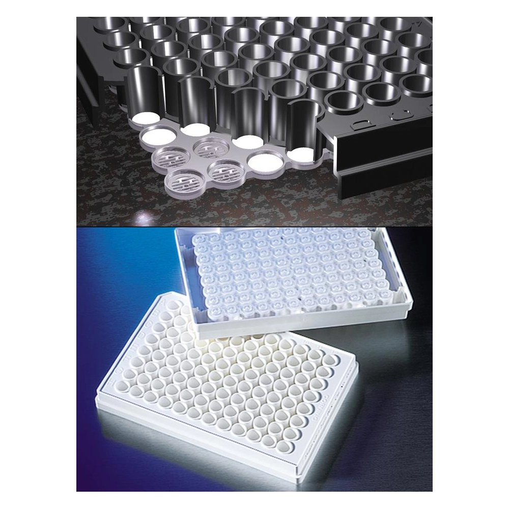 FiltrEX 96 Well Filter Plates with 0.2µm PVDF Membrane, Sterile