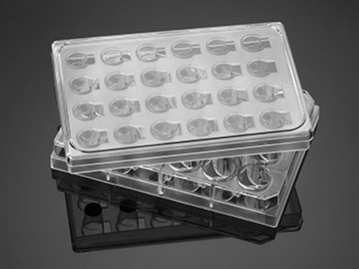 Corning FluoroBlok 96 Well Multiwell Insert System with 3.0µm Pore Polyester (PET) Membrane, Sterile, 5/Pack, 5/Case