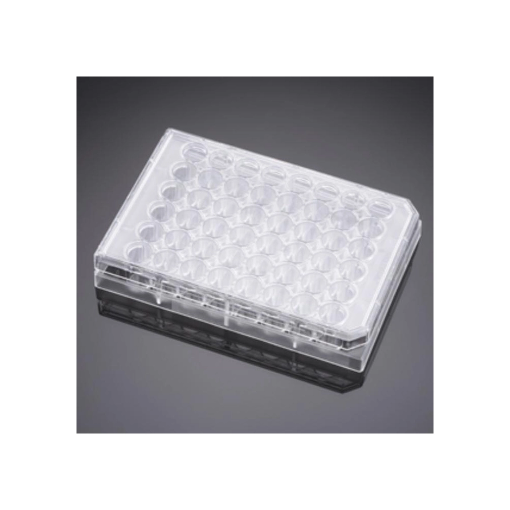 Falcon 48 Well-CLear Flat Bottom Not Treated Multiwell Cell Culture Plate with Lid, Non-Pyrogenic, Individually Wrapped, Sterile, 50/Case