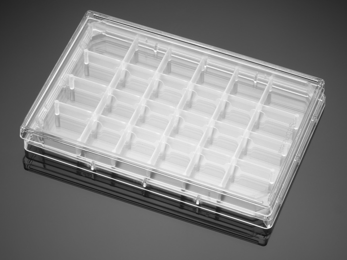 Falcon 24 Well Polystyrene Feeder Tray, with Lid, Sterile, 5/Pack, 5/Case