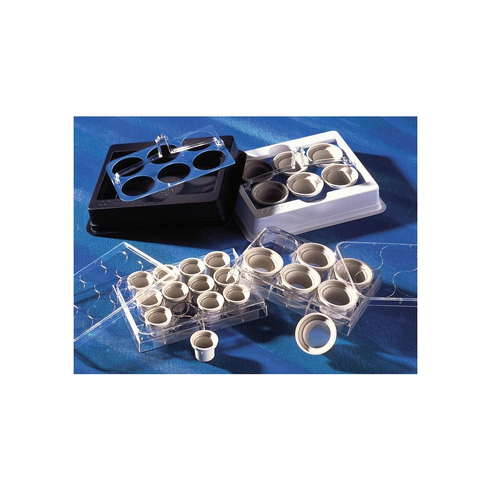 Costar Netwell Reagent Tray, Black, Nonsterile, 200/Case