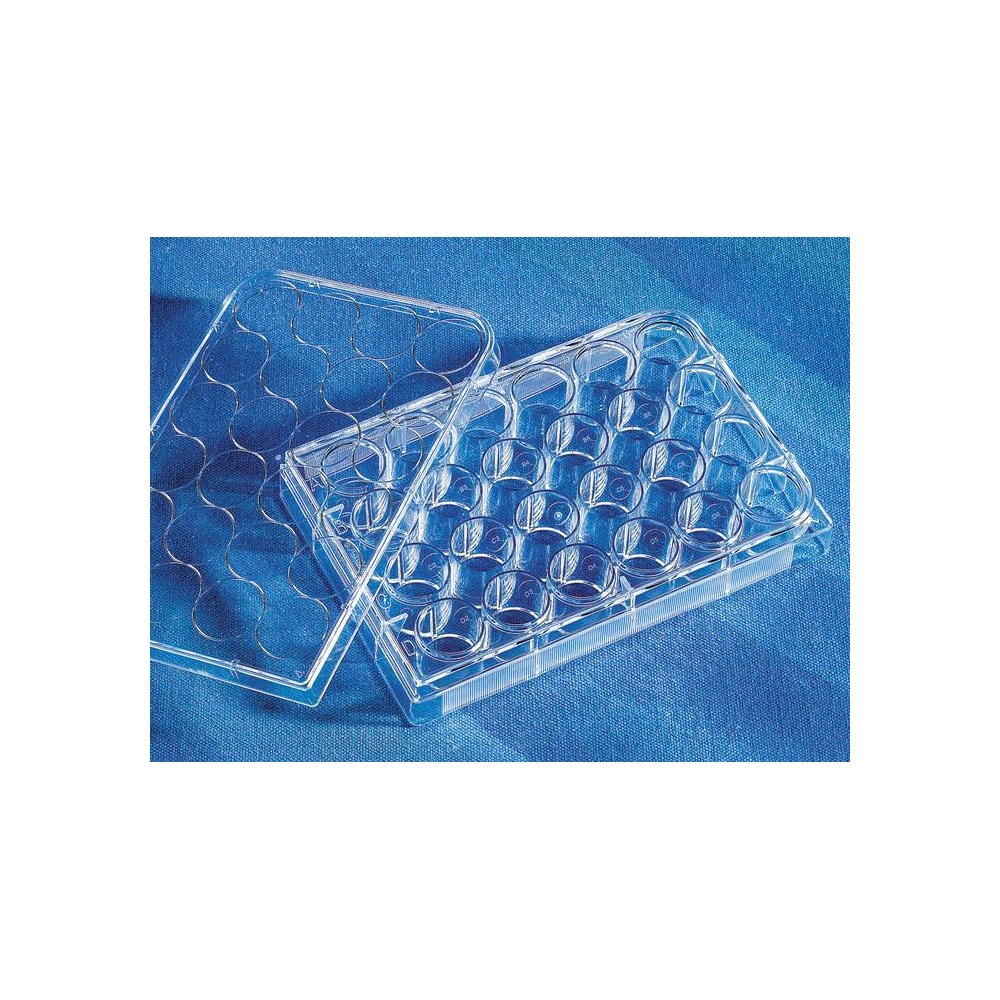 Costar 24 Well Clear, Tissue Culture-Treated Multiple Well Plates with Lid, Sterile, Bulk Pack, 5/Bag, 100/Case
