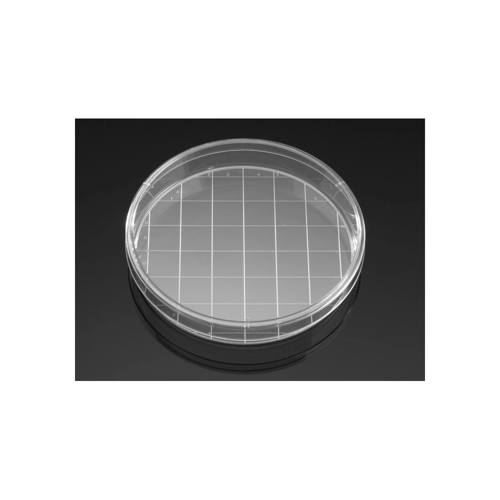Falcon 150mm x 25mm Style Cell Culture Dish with 20mm Grid Molded in Base, Tissue Culture-Treated Sterile, Bulk Packaged, 10/Pack, 100/Case
