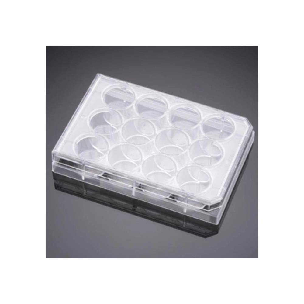 Falcon 12 Well-CLear Flat Bottom, Tissue Culture-Treated Multiwell Cell Culture Plate, with Lid, Non-Pyrogenic, Sterile, Individually Wrapped, 50/Case