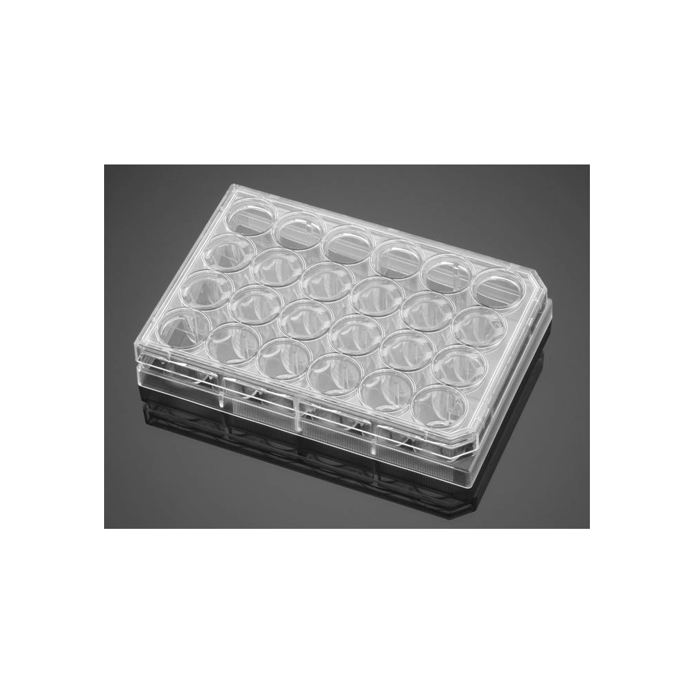 Falcon 24 Well-CLear Flat Bottom Tissue Culture-Treated Multiwell Cell Culture Plate with Lid, Non-Pyrogenic, Sterile, Bulk Packaged, 6/Bag, 36/Case