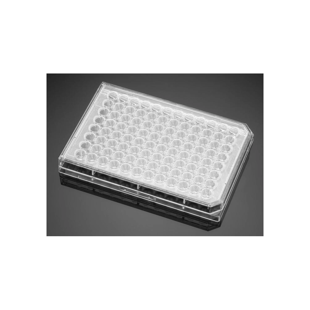 Falcon® 96-well-CLear Round Bottom TC-treated Cell Culture Microplate, with Lid, Sterile, 5/Pack, 50/Case