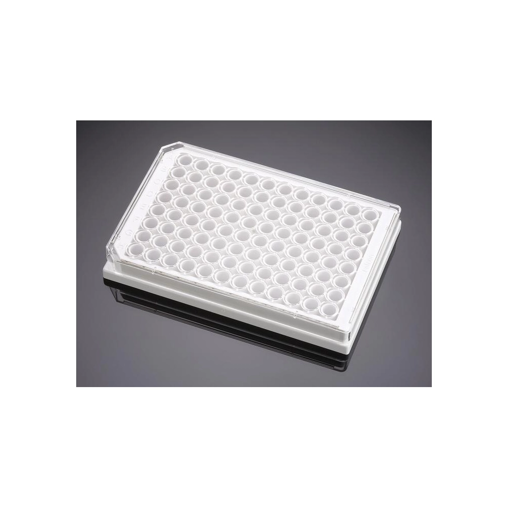 Falcon 96 Well White-CLear Flat Bottom TC-Treated Microplate, with Lid, Sterile, 8/Pack, 32/Case