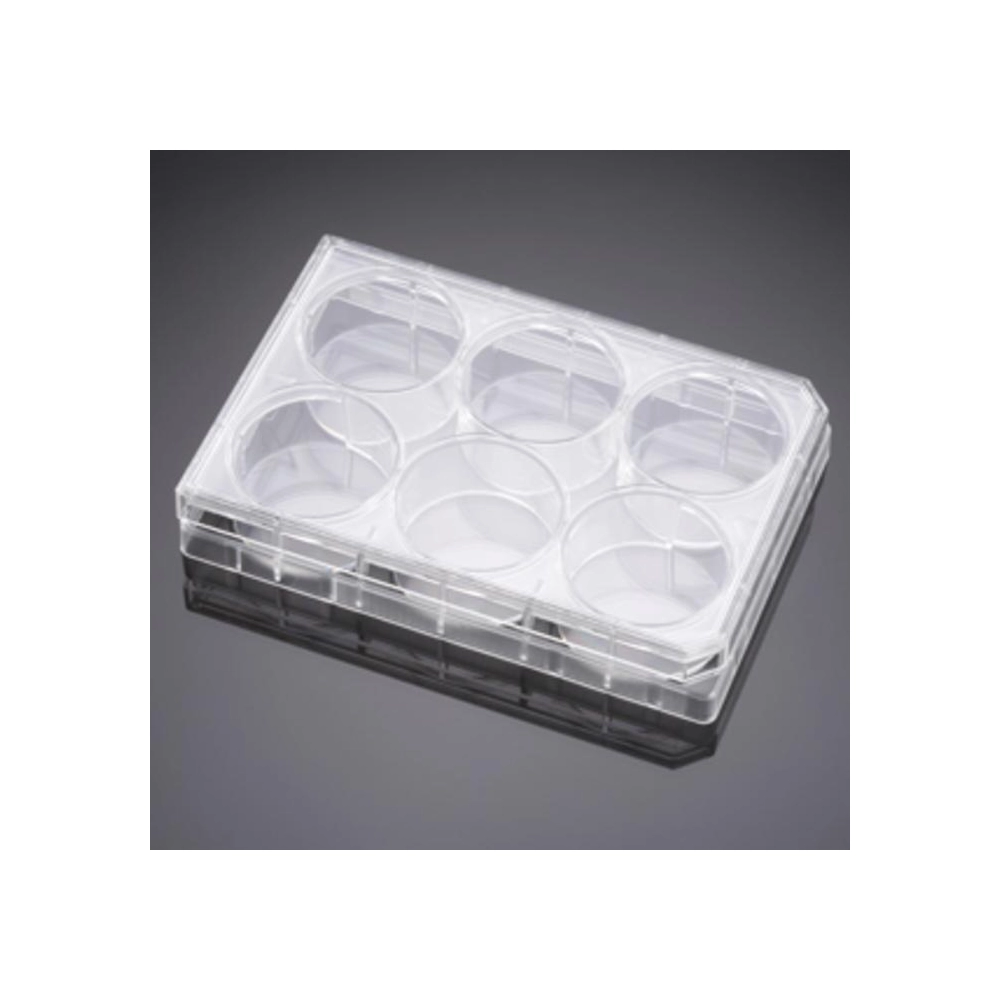 Falcon 6 Well TC-Treated Polystyrene Cell Culture Insert Companion Plate, with Lid, Sterile, 1/Pack, 50/Case