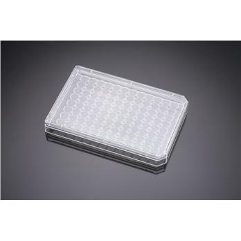 Falcon Optilux Polystyrene Lid for 384 Well Microplate with 120µl Total Well Capacity, Nonsterile, 5/Pack, 50/Case