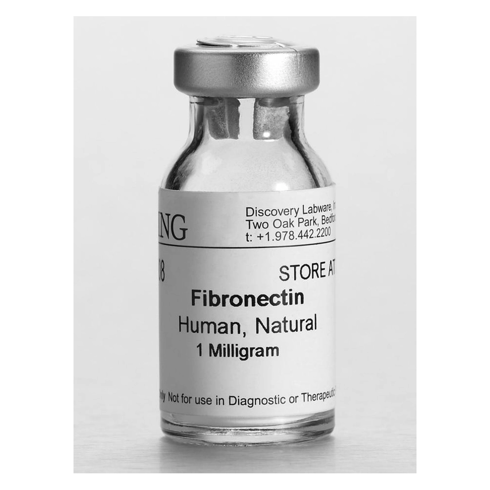 Corning Fibronectin, Human, 1mg