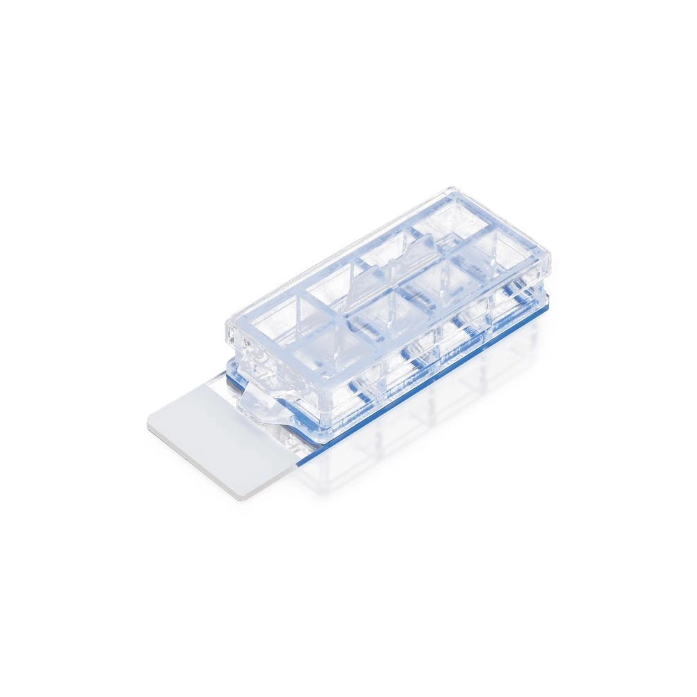 Falcon 8 Well Culture Slide, 12/Pack, 24/Case