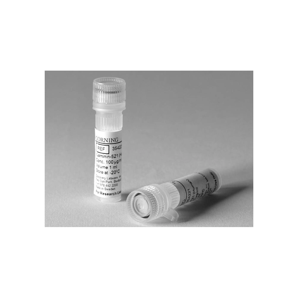 Corning rLaminin-521, Human, 100µg Vial
